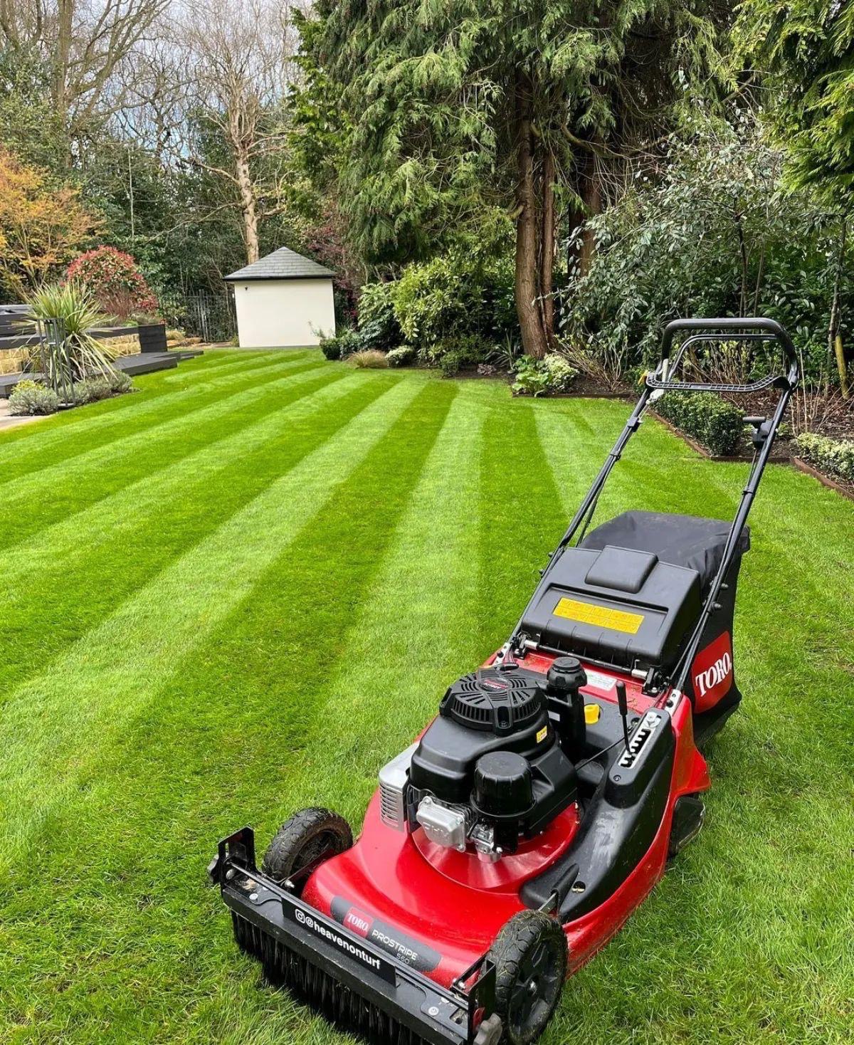 Gartenarbeiten rund ums Haus