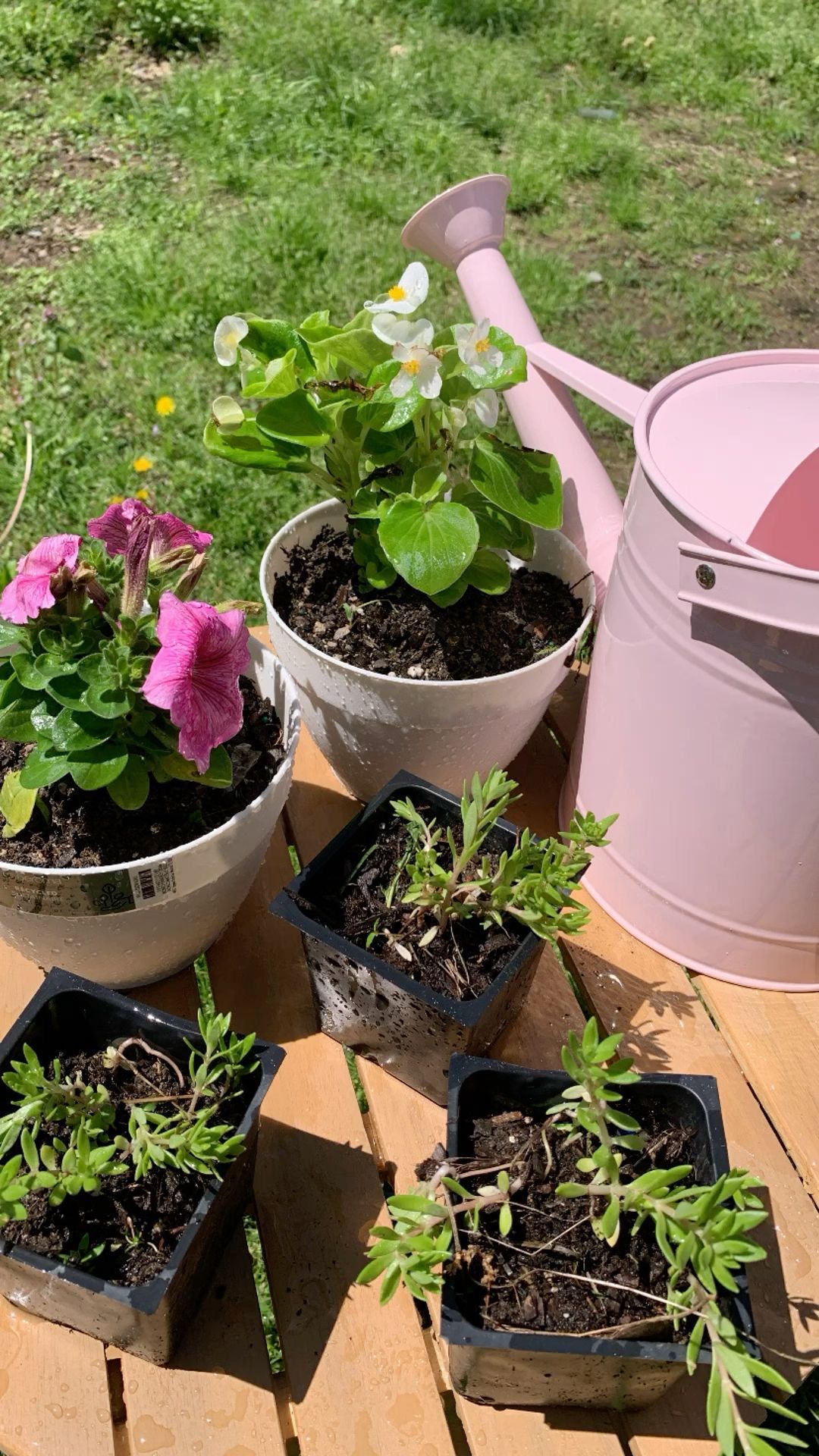 Gartenpflege in Reutlingen